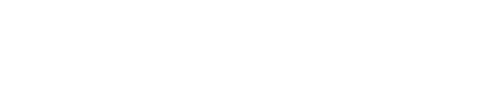 Brnad Logo